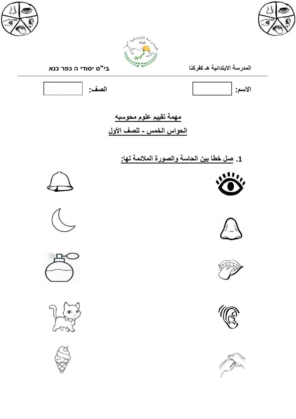 مهمة الحواس الخمس مهمة الحواس الخمس