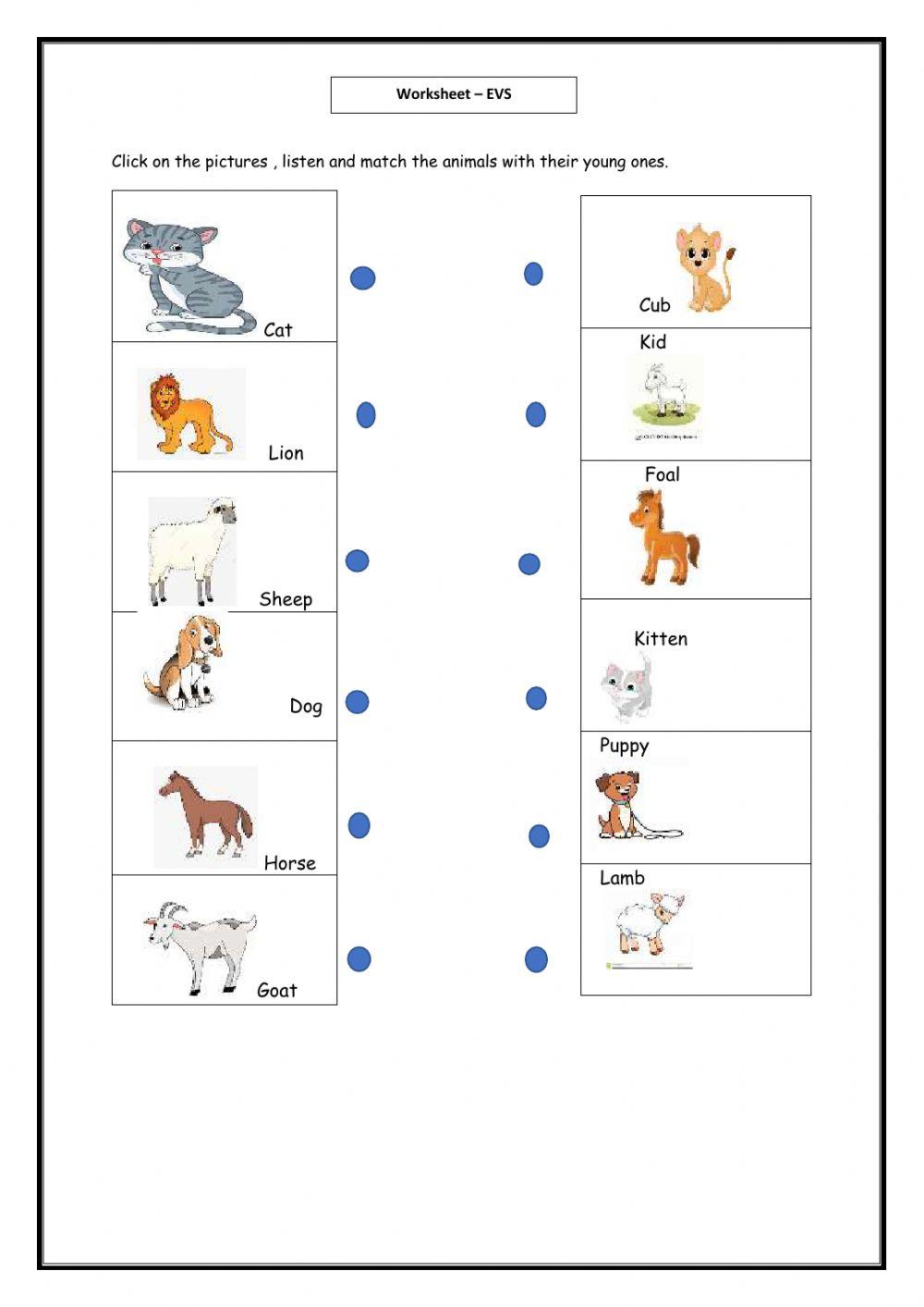 Jr Kg EvS Worksheet Live Worksheets 52% OFF Jr Kg EvS Worksheet Live Worksheets 52% OFF