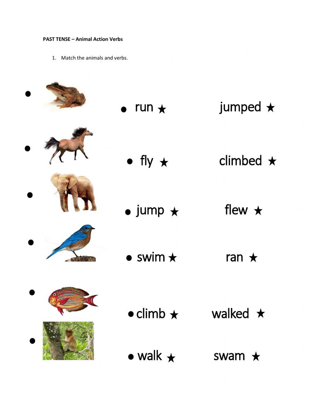 PAST SIMPLE - animals action verbs