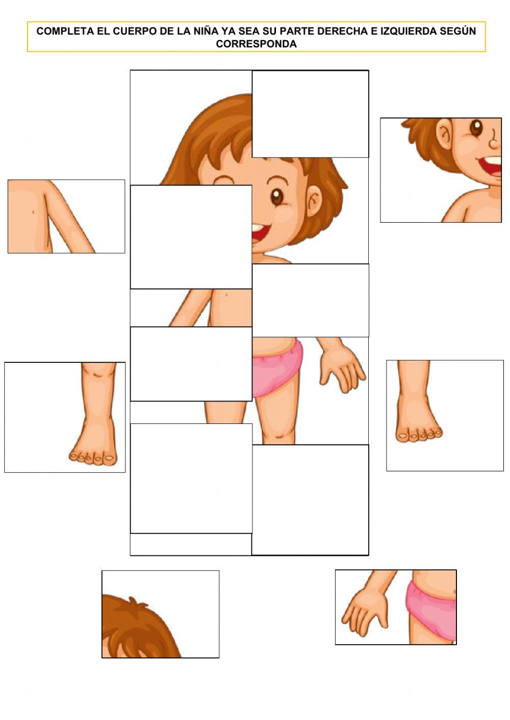 Simetría del cuerpo humano