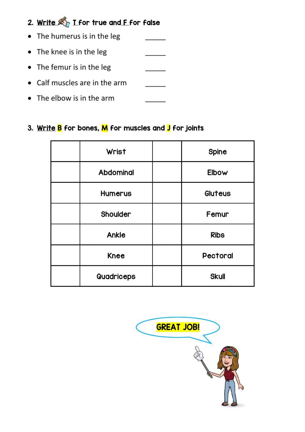 Bones, muscles and joints