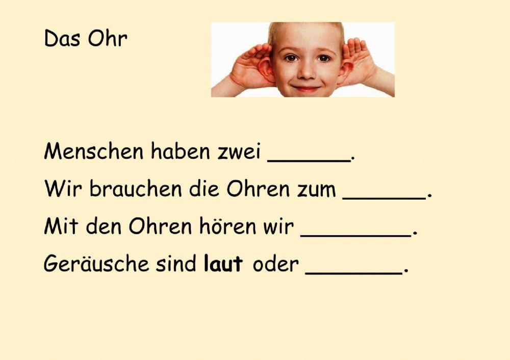 Das Ohr