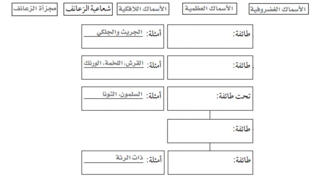 تصنيف الأسماك