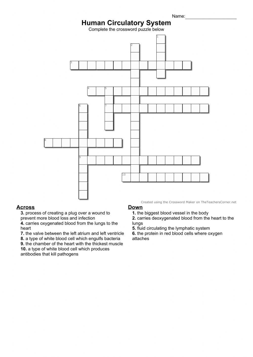 Crossword Puzzle - Human Circulatory System High School