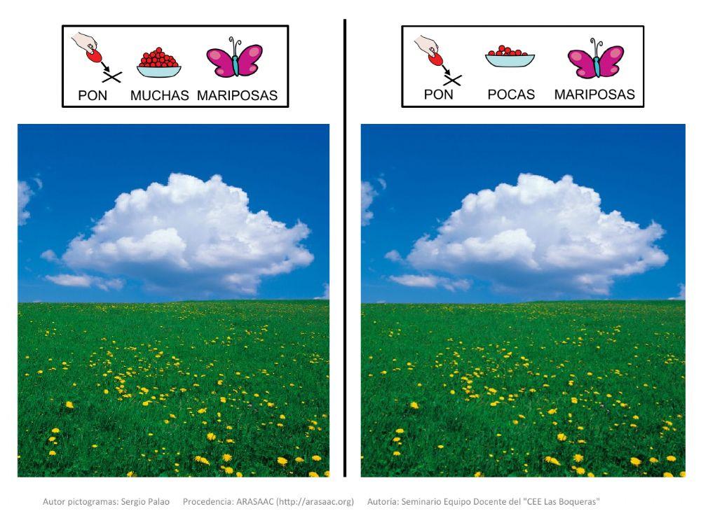 Material Teacch concepto muchos-pocos