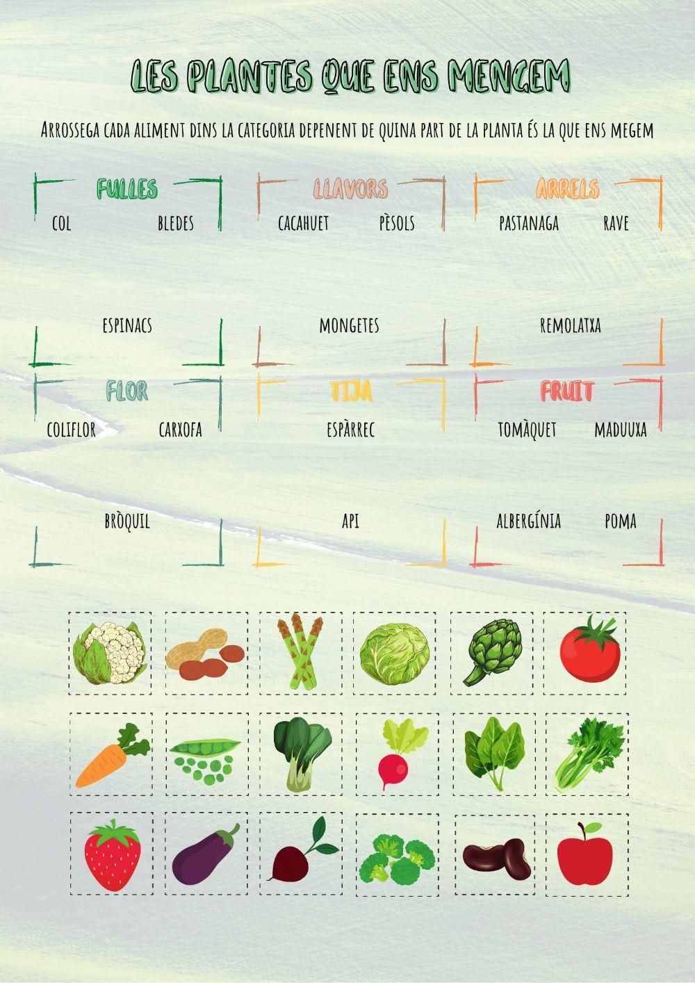 Les plantes que mengem