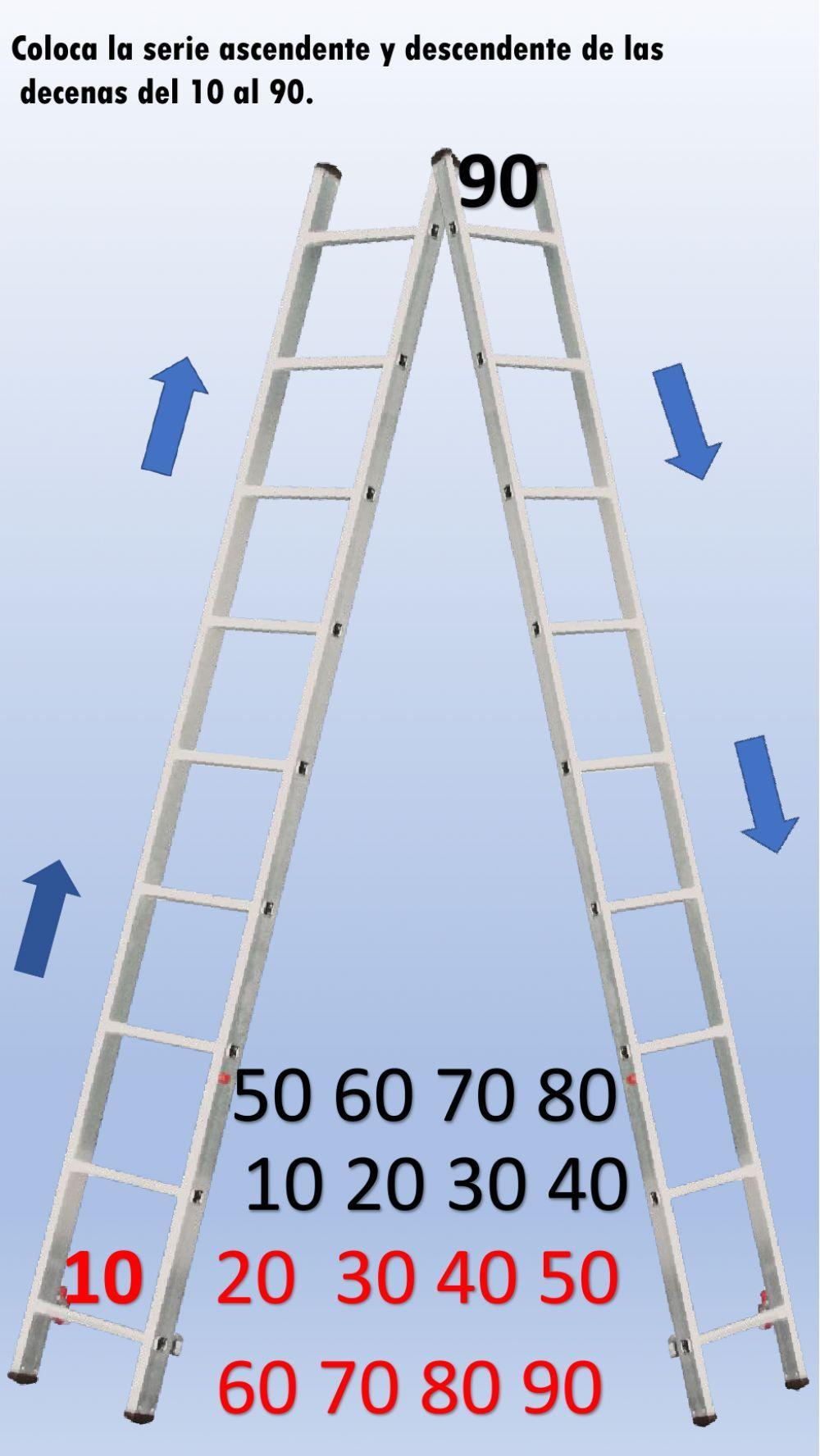 Coloca la serie ascendente y descendente de las decenas del 10 al 90