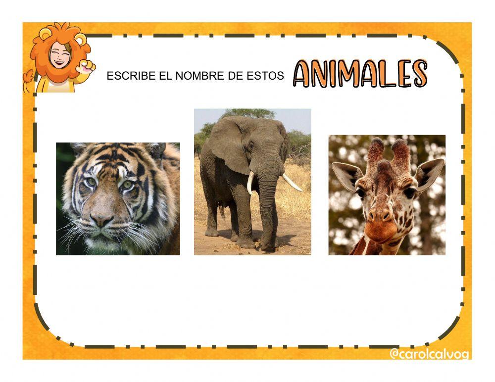Animalesafricanos---1