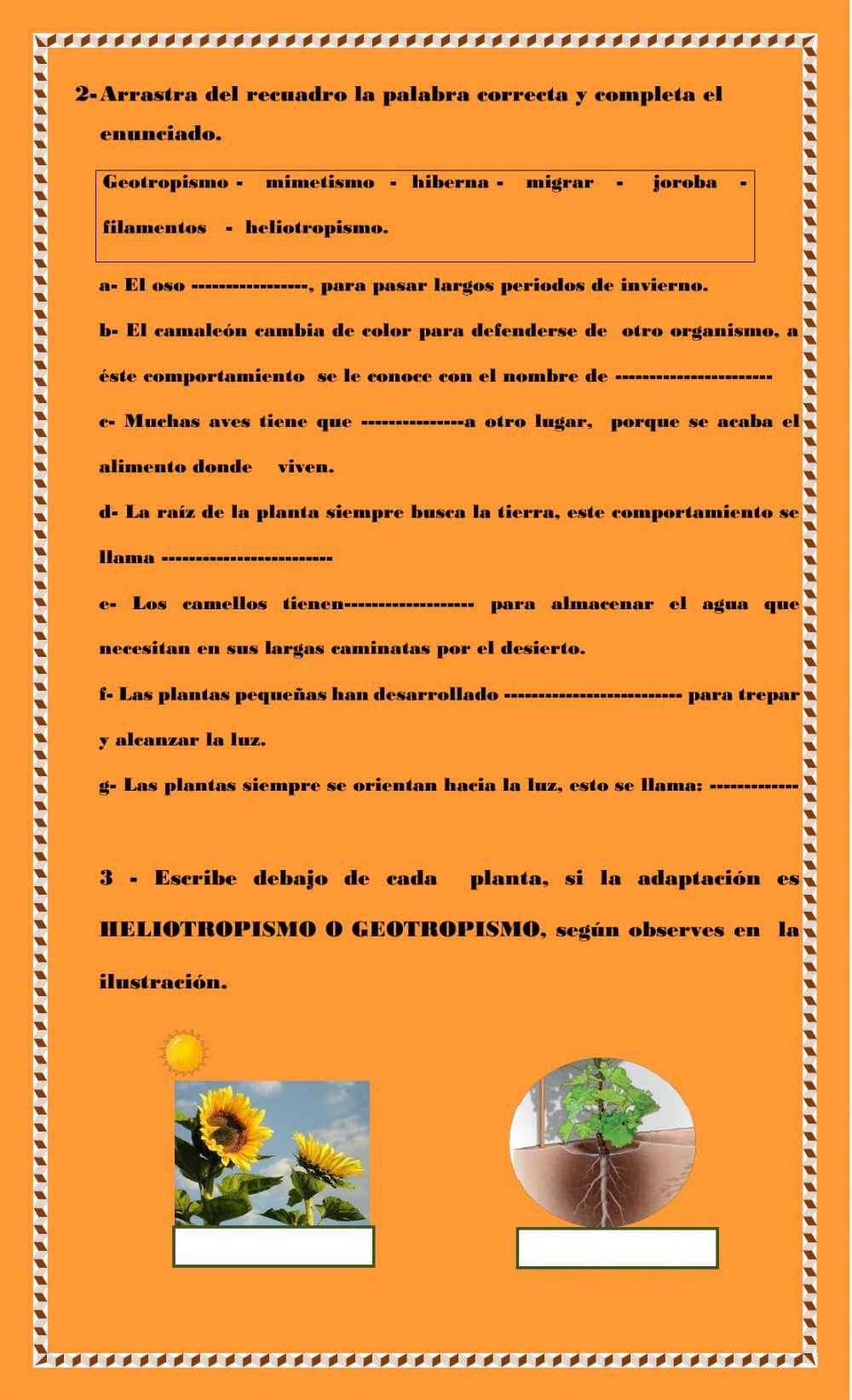 Los seres vivos y sus adaptaciones