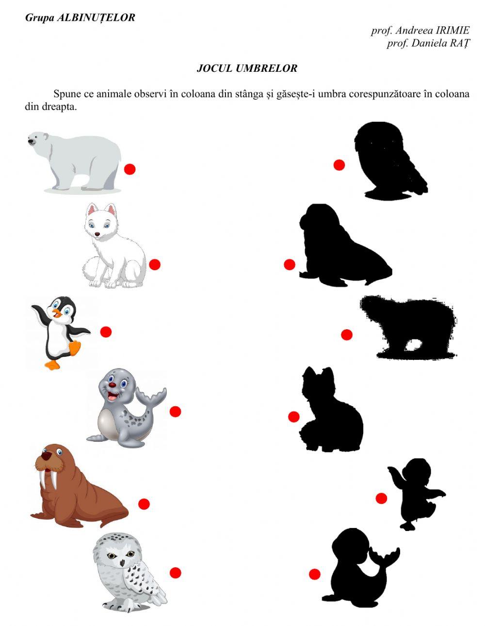 Jocul Umbrelor - Animale polare