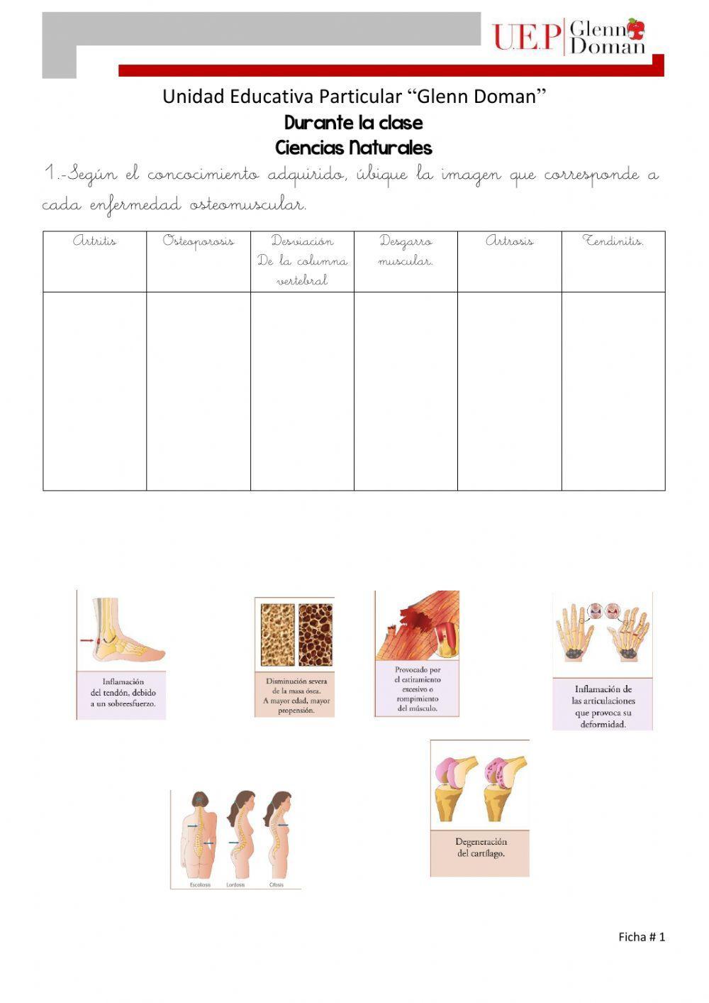 Enfermedades osteomusculares