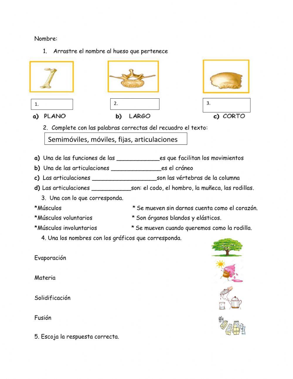 Refuerzo de Naturales