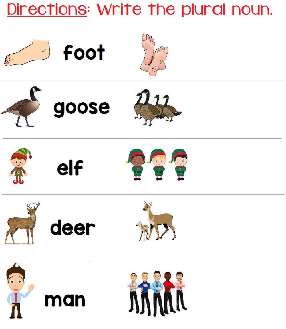 Plural Nouns