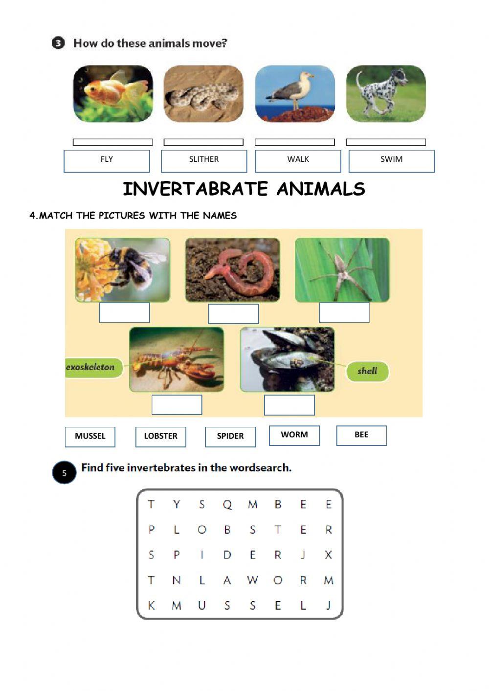 Vertebrate and invertebrate animals