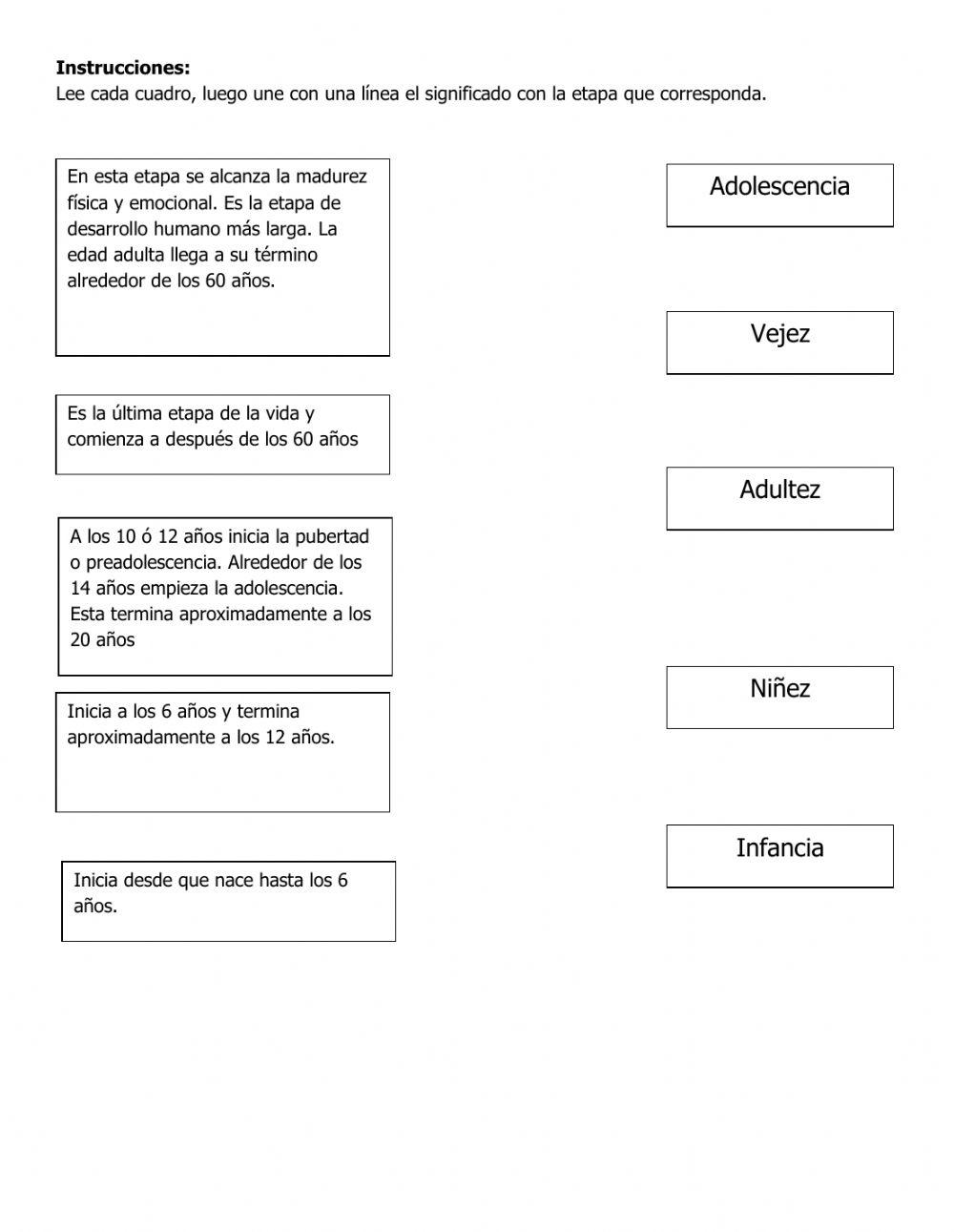 Etapas de la vida