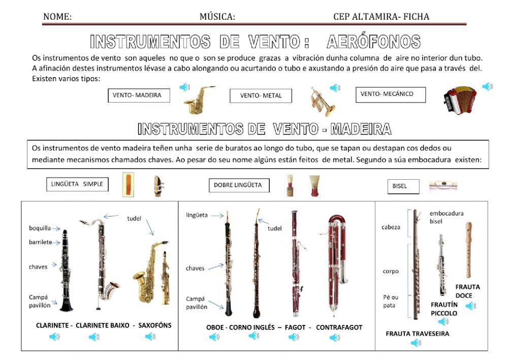 Instrumentos de vento 5º