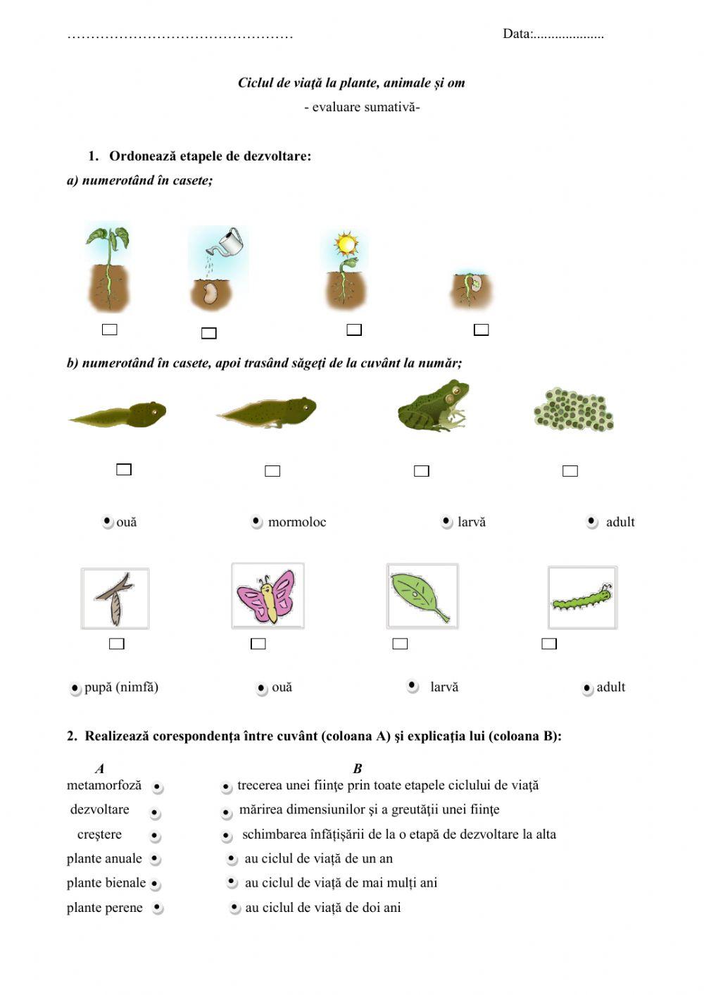 Ciclul de viață la plante și animale