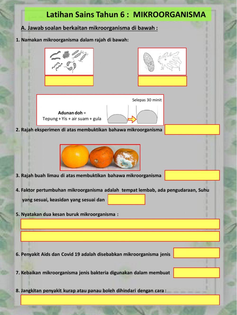 Sains Tahun 6 : Mikroorganisma