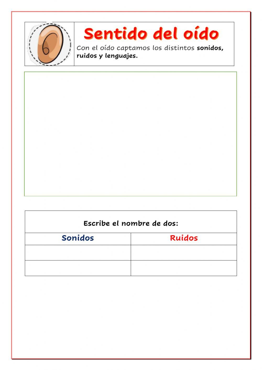 El sentido del oído