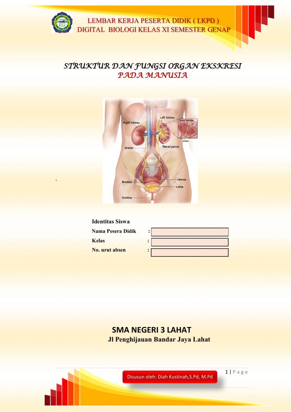 Membuat LKPD Digital Biologi