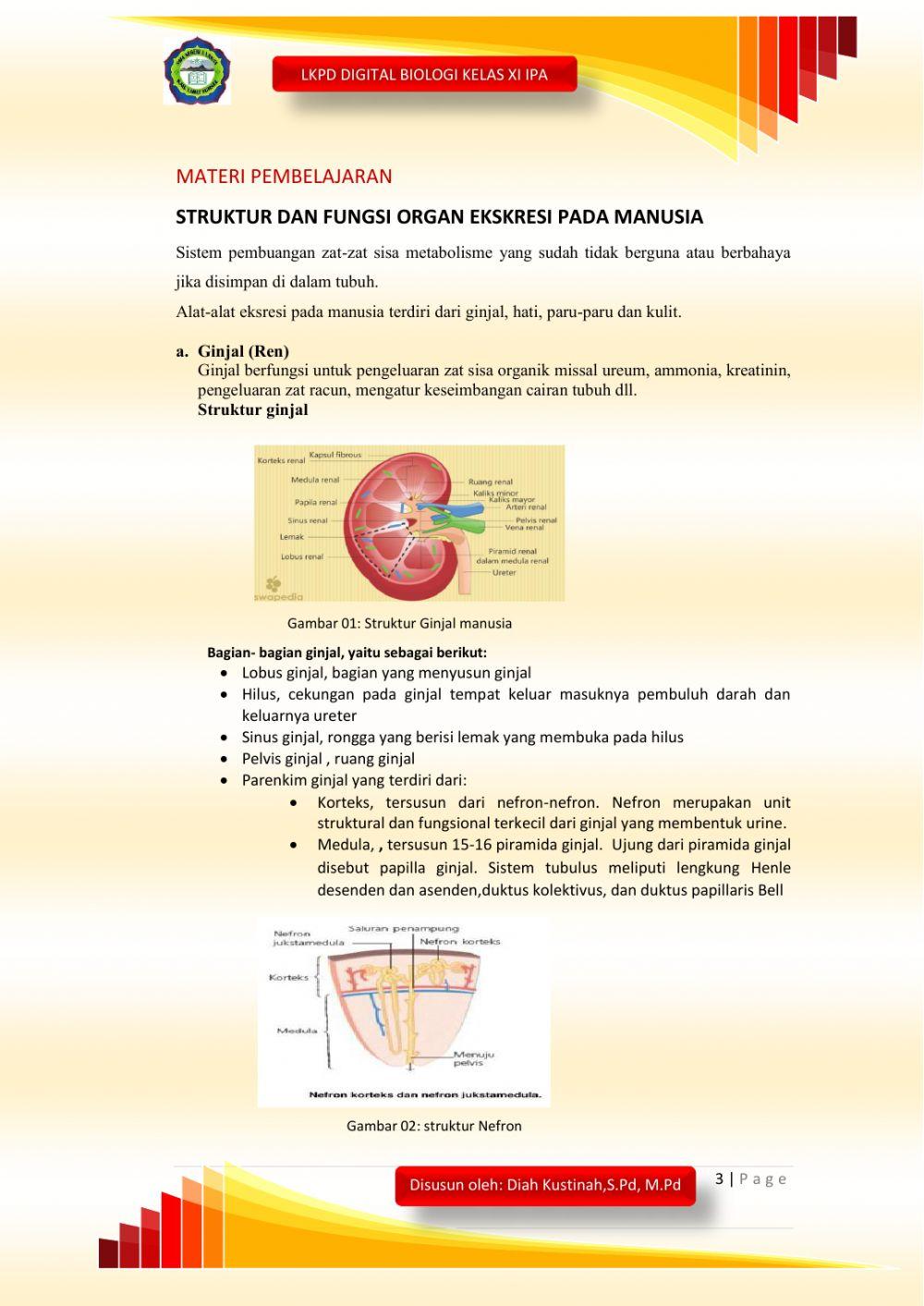 Membuat LKPD Digital Biologi