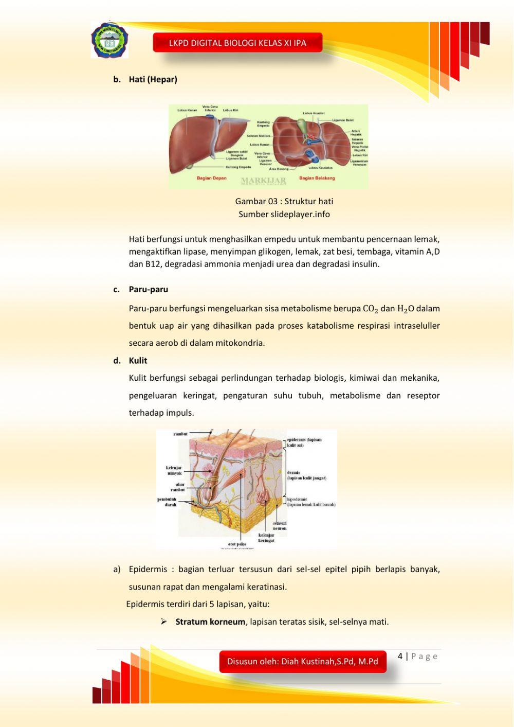 Membuat LKPD Digital Biologi