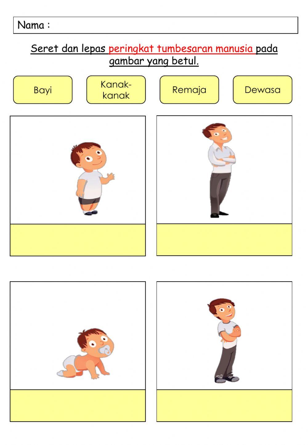 PSSAS Tahun 6 - Peringkat Tumbesaran Manusia