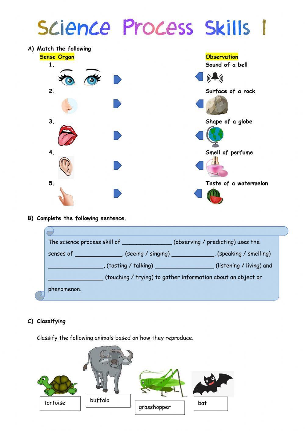 Science Process Skills 1 (Year 3)