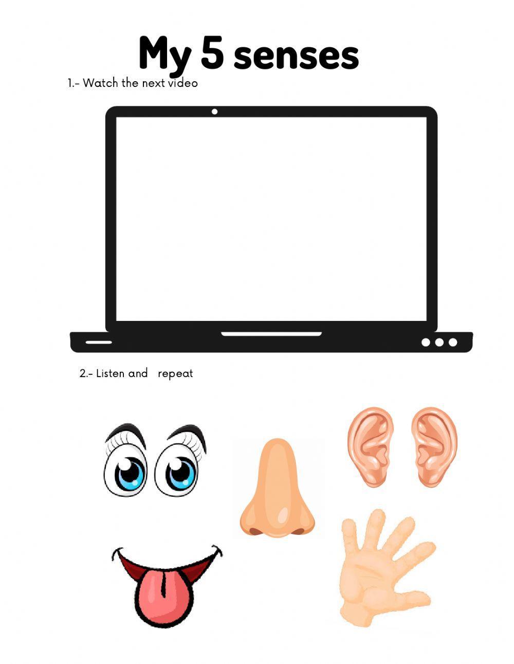 My 5 senses My 5 senses