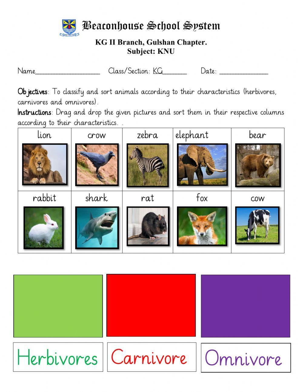 Animal classification