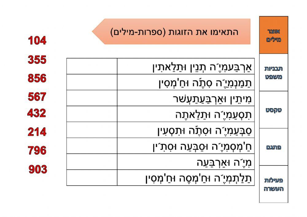 המספרים עד 1000