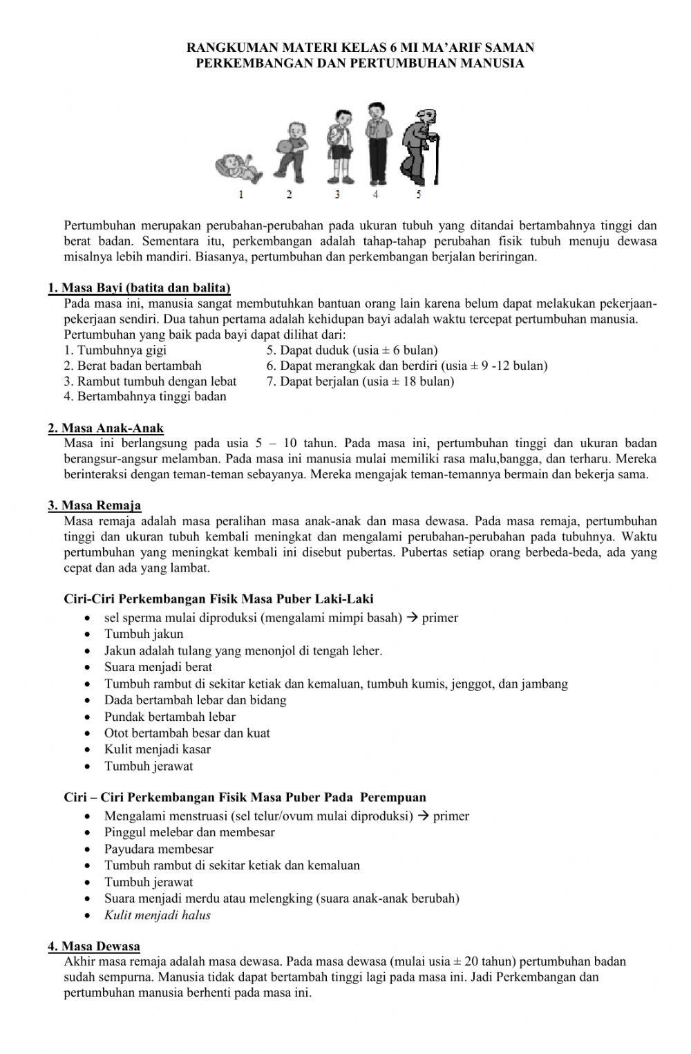 Lembar Kerja Siswa  MI Saman