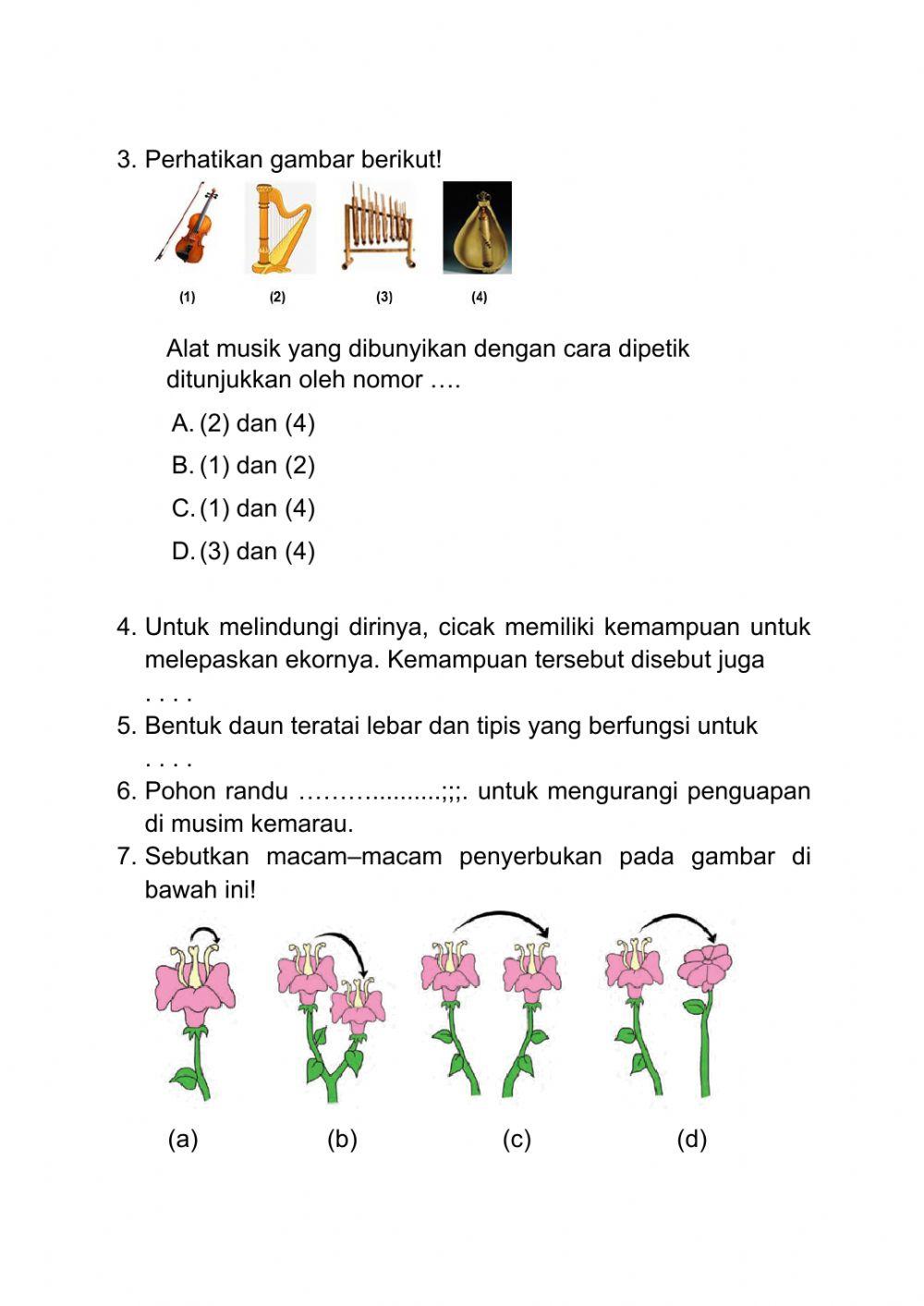 Lembar Kerja Siswa IPA