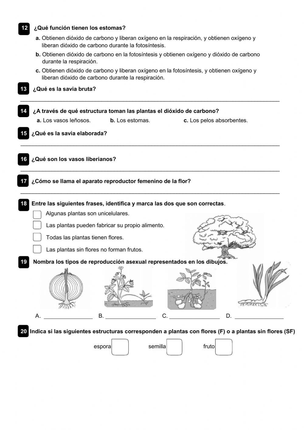 Control C. Naturales 5º Tema 4