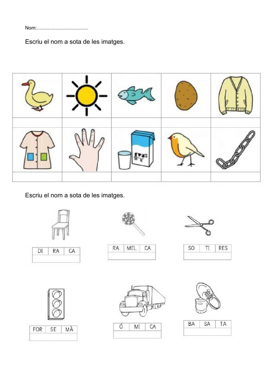 Consciència fonològica