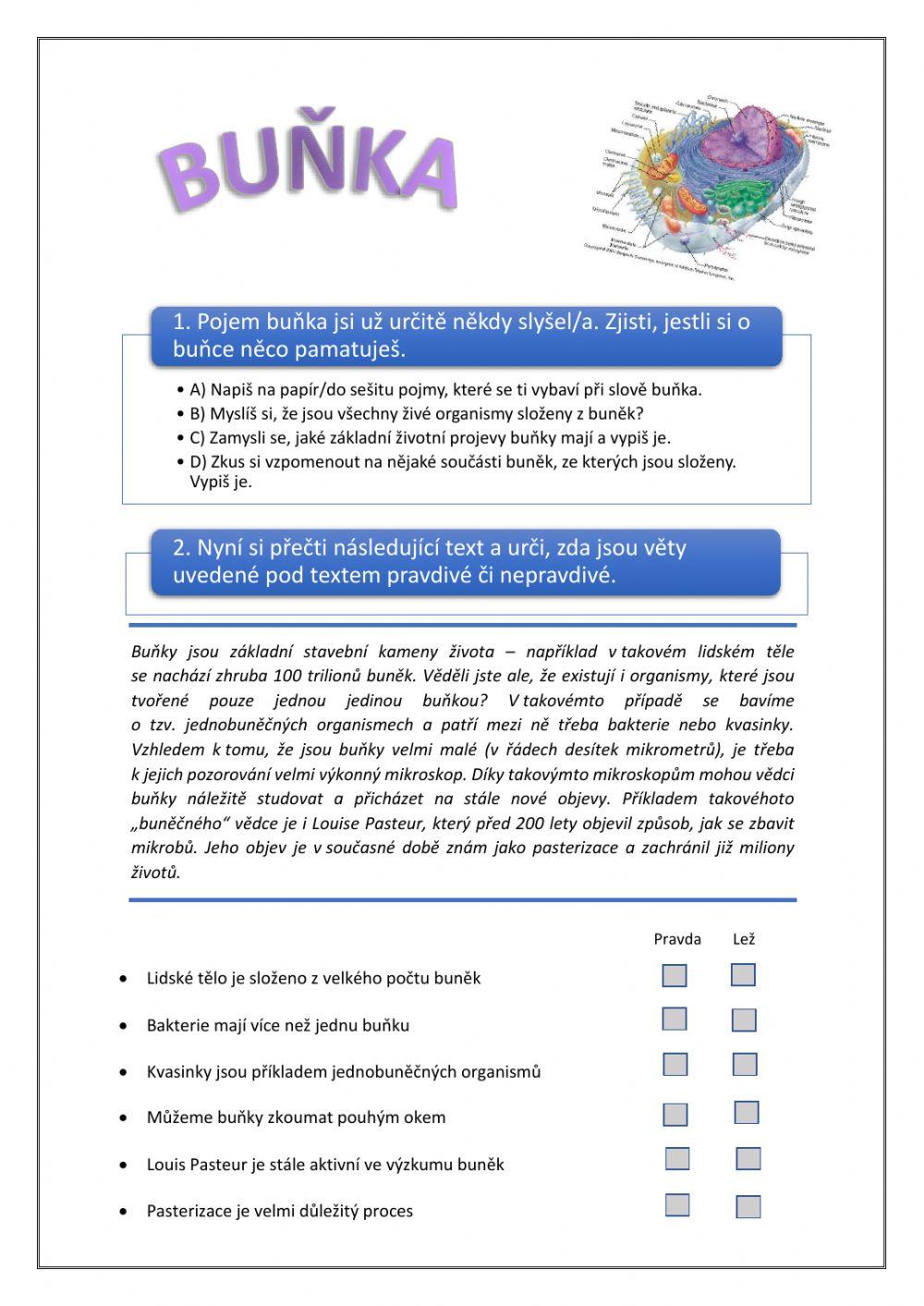 Buňka - úvod