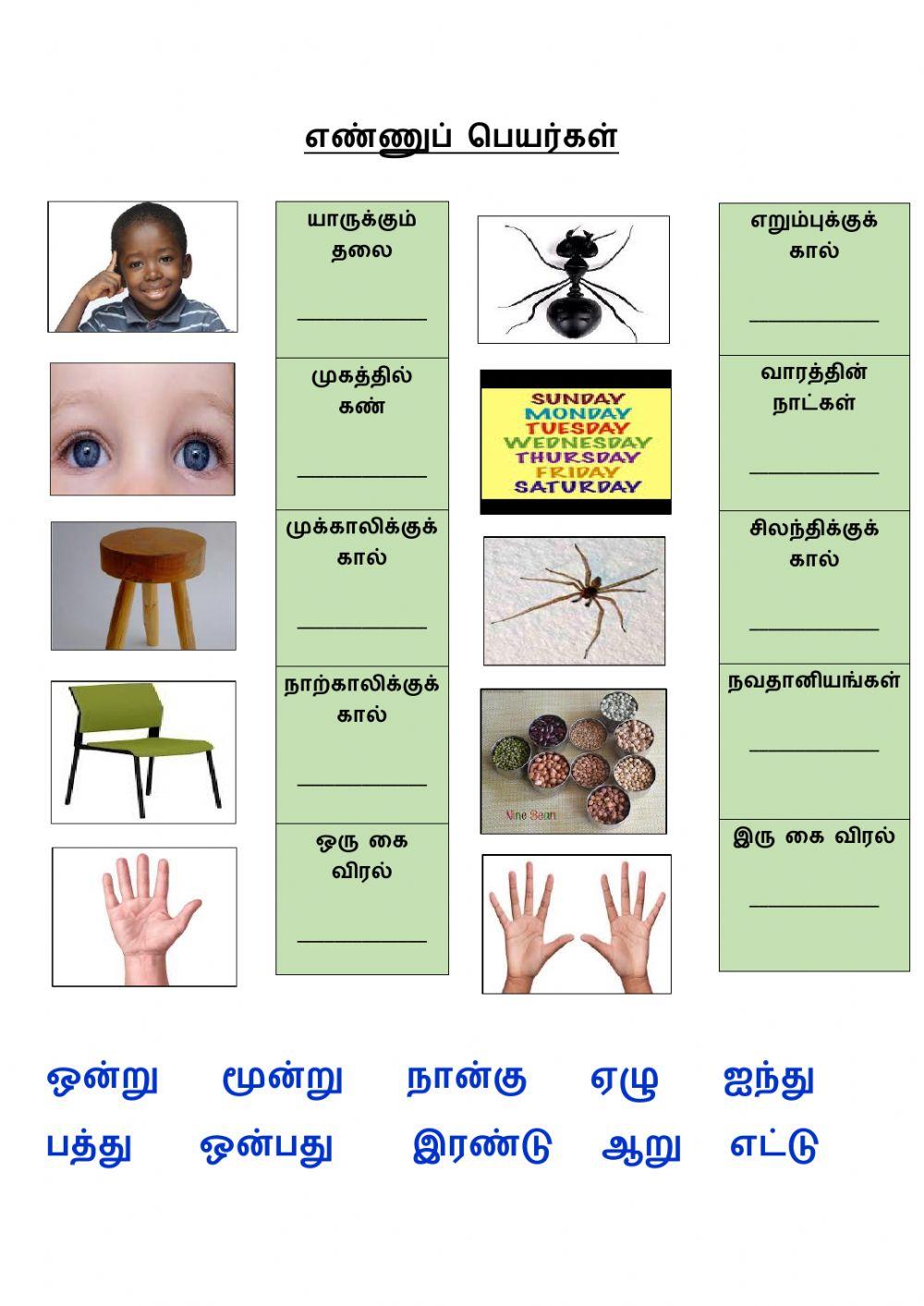 எண்ணுப்  பெயர்கள் 1-10