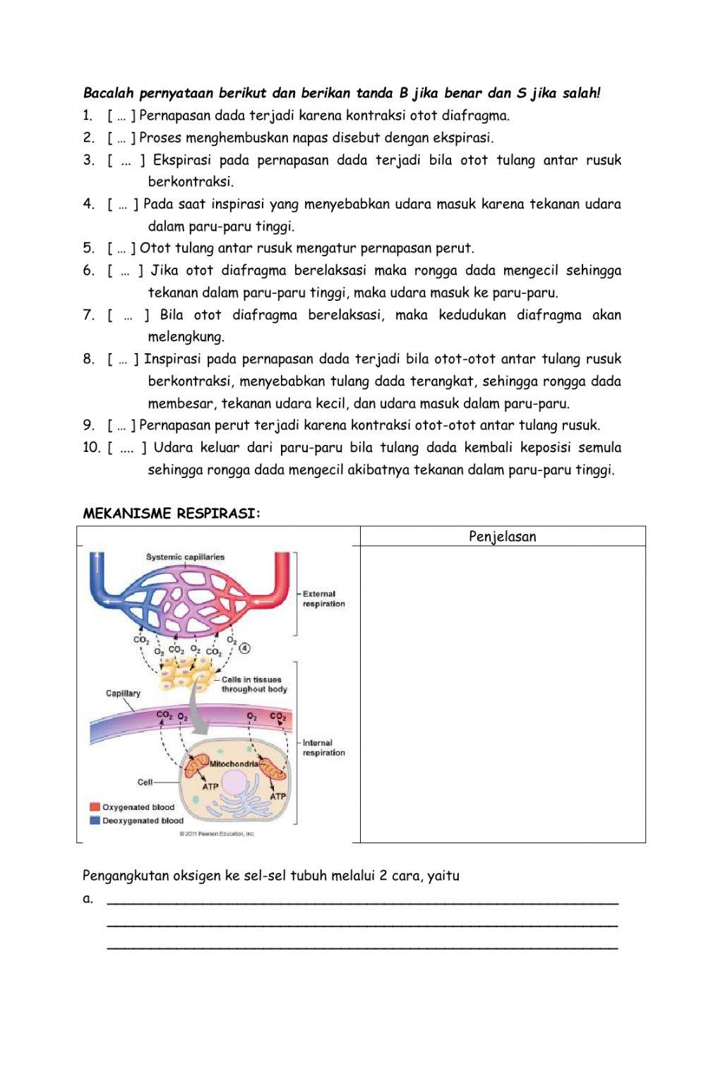 Lkpd 8.2 mekanisme pernapasan