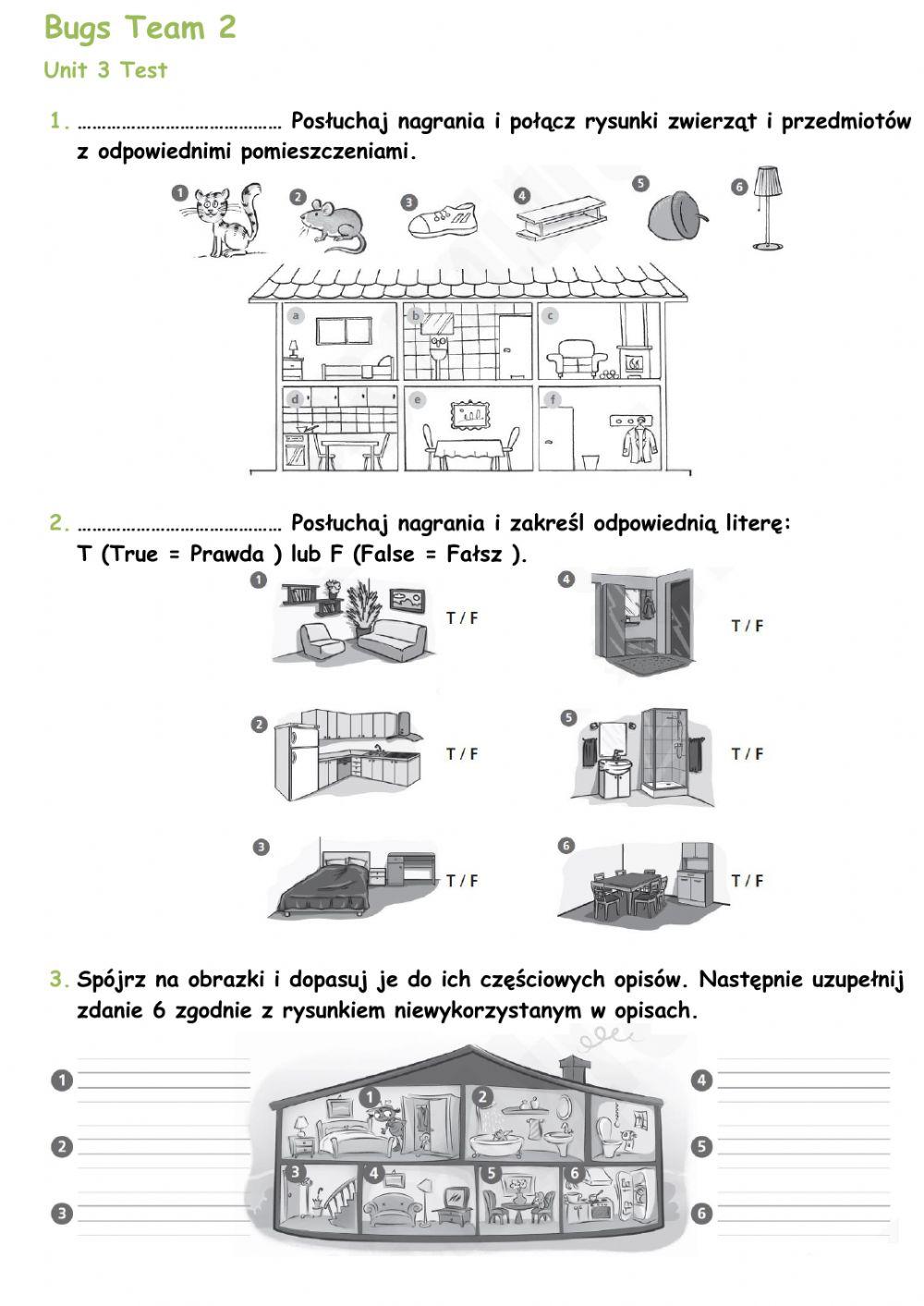 Bugs Team 2 Unit 3 Test