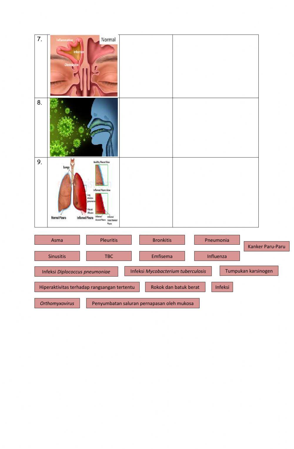 Lkpd 8.3 kandungan rokok dan penyakit pada sistem pernapasan