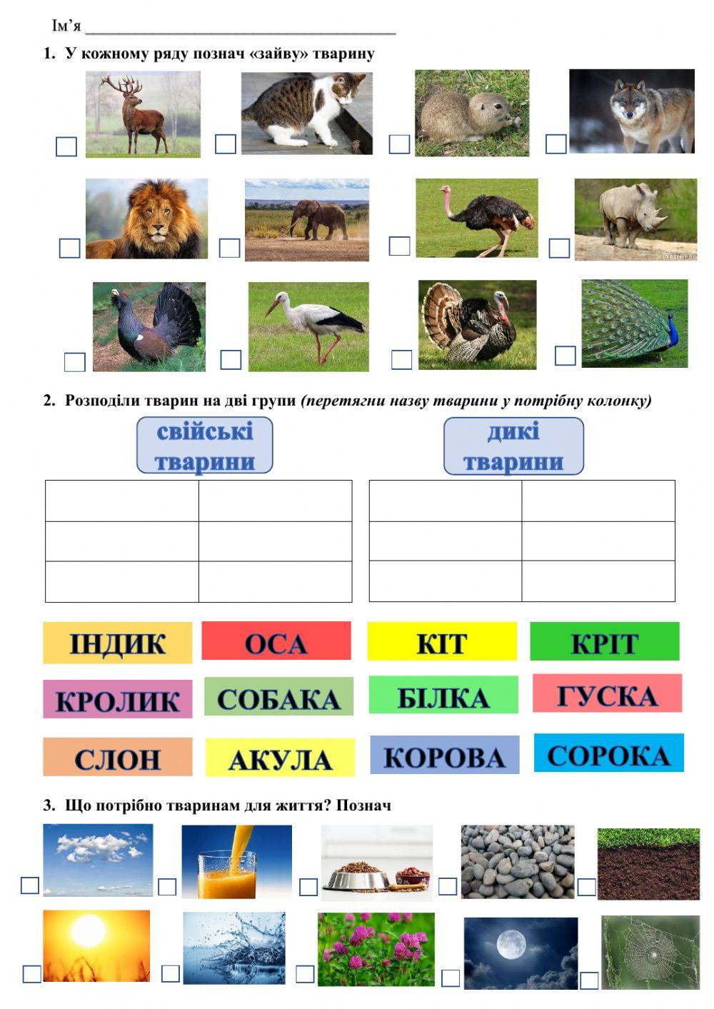 тест кто ты из животных по знаку зодиака