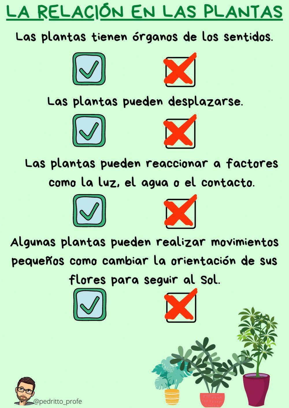 La relación de las plantas