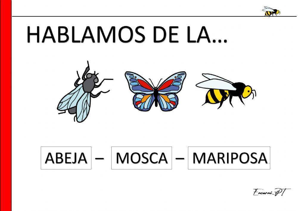 Trabajamos la memoria - Recordamos -siguiendo las pistas 1-