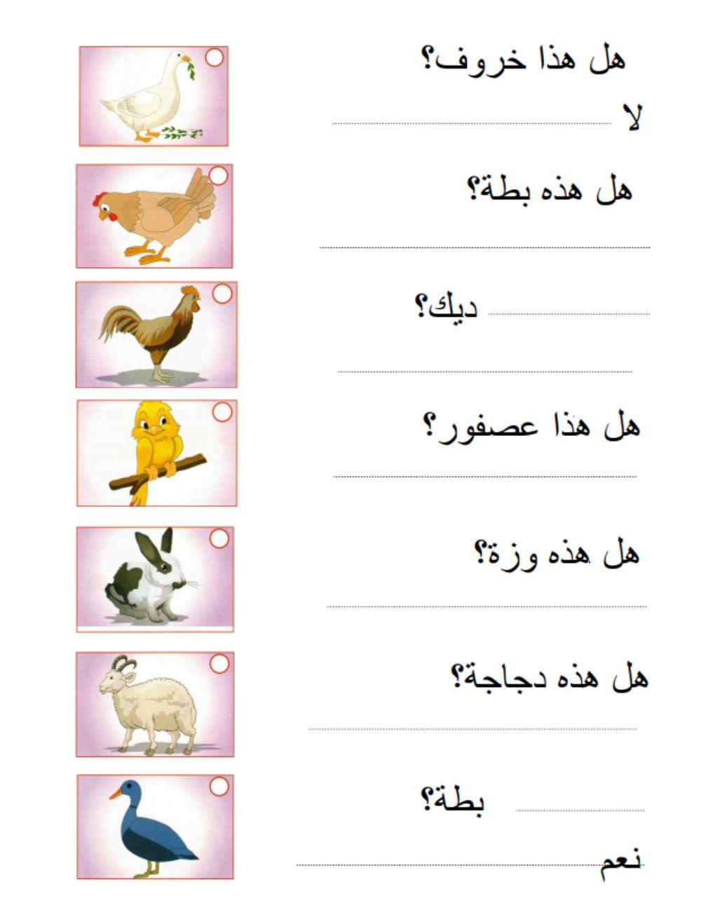 أحب العربية المستوى الأول