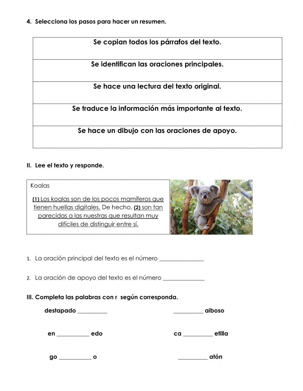 Examen de español 3°