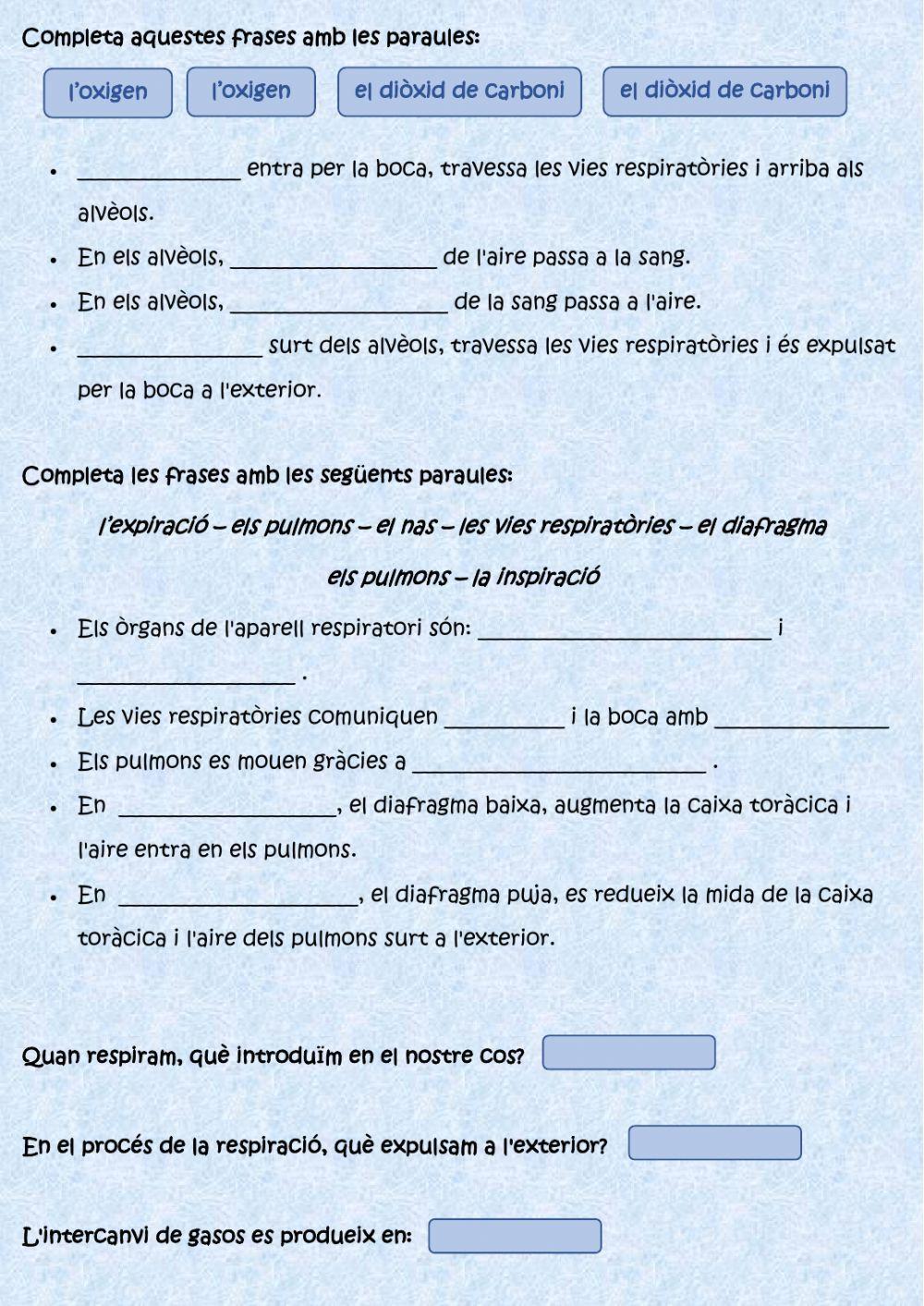 L'aparell respiratori