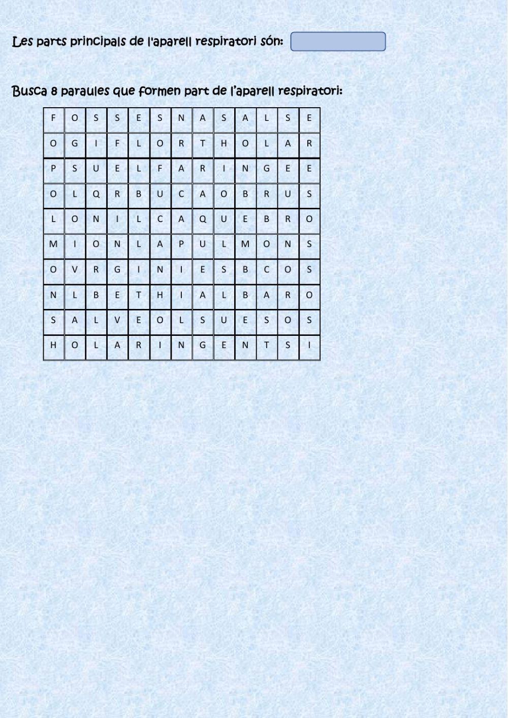 L'aparell respiratori