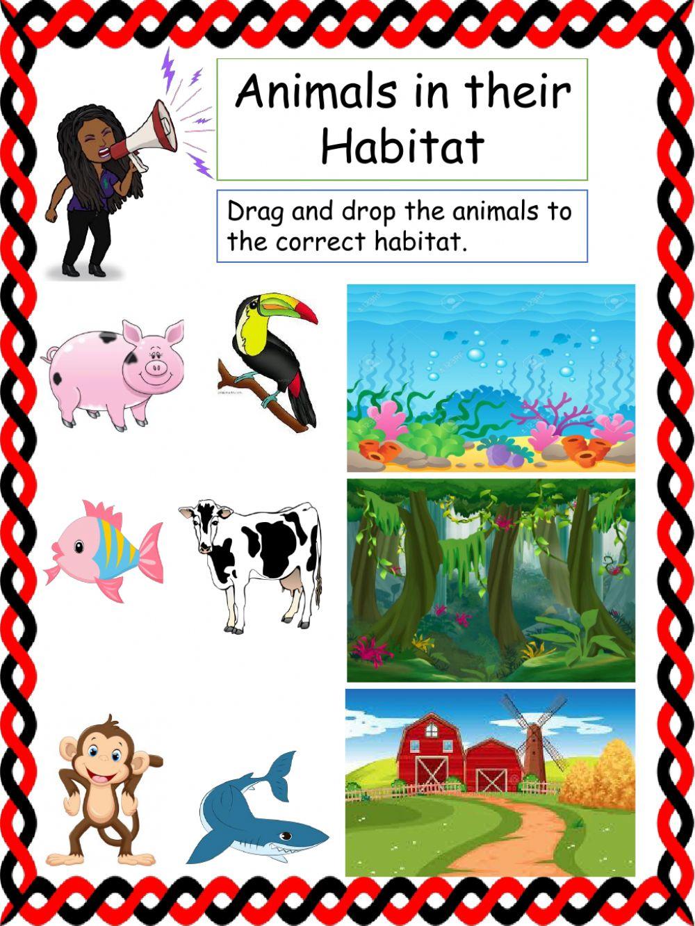 Animals and their Habitat