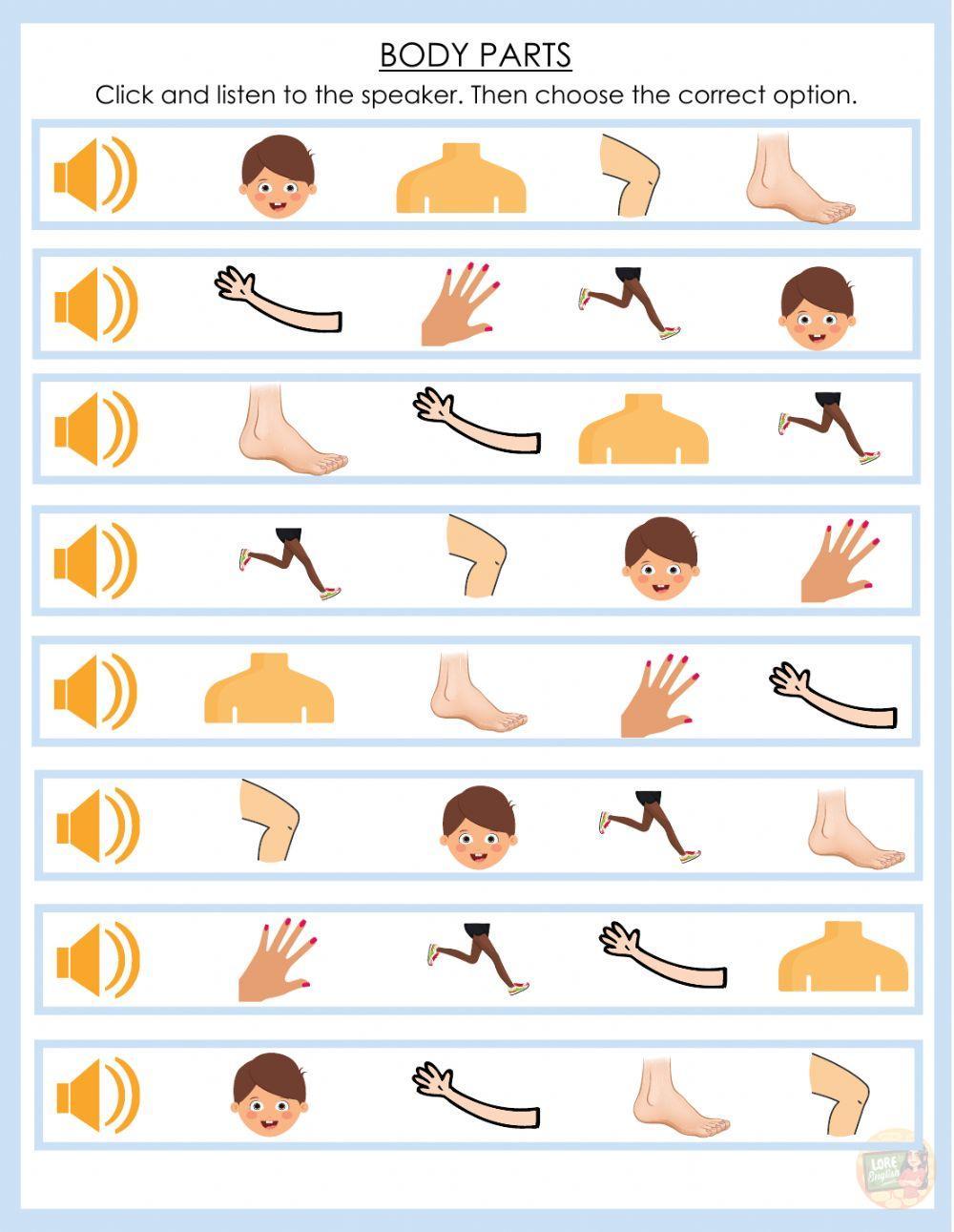 Body parts Body parts