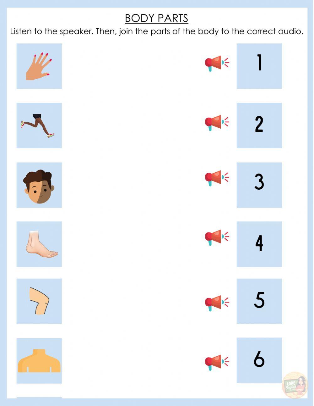 Body parts 2 Body parts 2